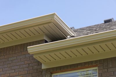 Fascia Repair